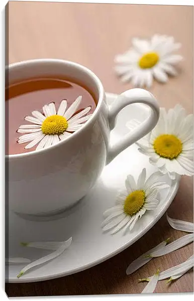 Постер на подрамнике - Ромашковый чай. Чай с ромашкой.