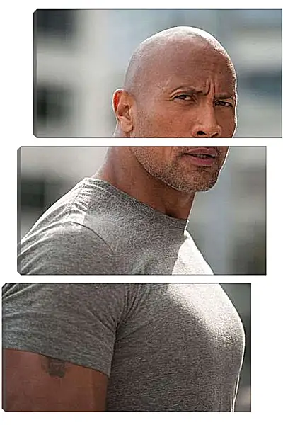 Модульная картина - Dwayne Douglas Johnson. Дуэйн Джонсон (Скала)