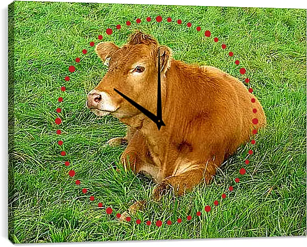 Часы картина - Корова отдыхает
