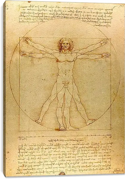 Постер на подрамнике - Витрувианский человек. Леонардо Да Винчи
