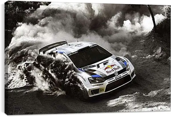 Постер на подрамнике - Ралли (автомобильный спорт)