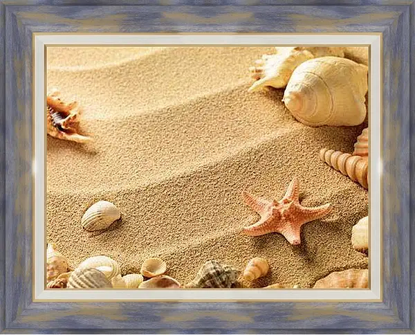 Картина в раме - Ракушки на пляже