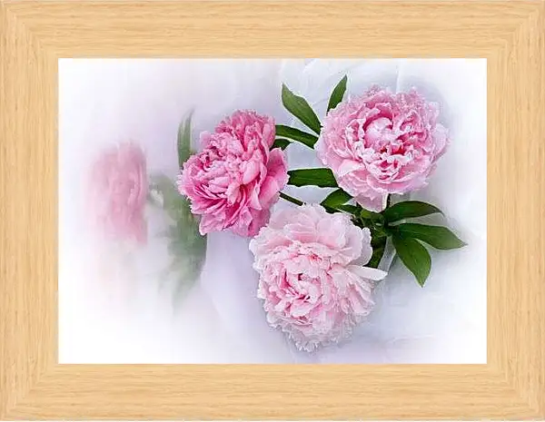 Картина в раме - Пионы
