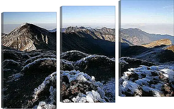 Модульная картина - Зима