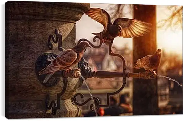 Постер на подрамнике - Голуби