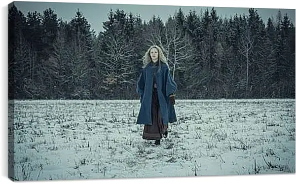 Постер на подрамнике - Ведьмак. The Witcher