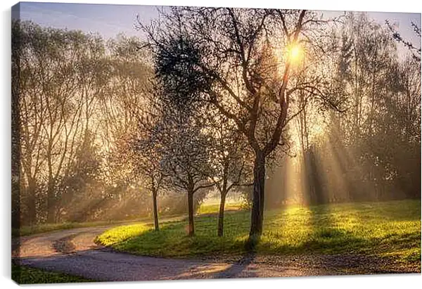 Постер на подрамнике - Весна