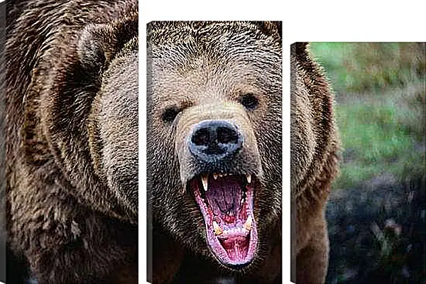 Модульная картина - Медведь