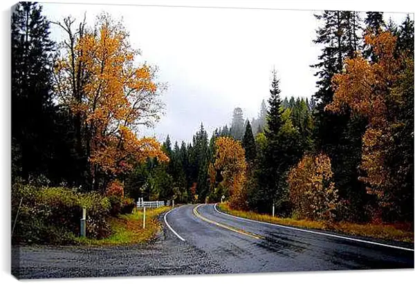 Постер на подрамнике - Осень