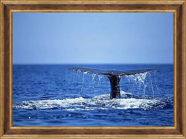 Картина в раме - Киты