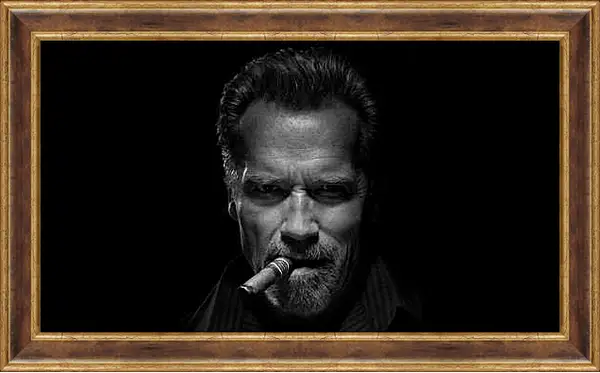 Картина в раме - Арнольд Шварценеггер (Arnold Schwarzenegger)