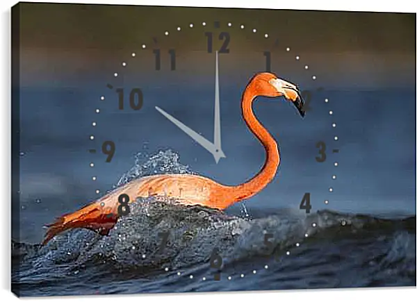 Часы картина - Фламинго в воде