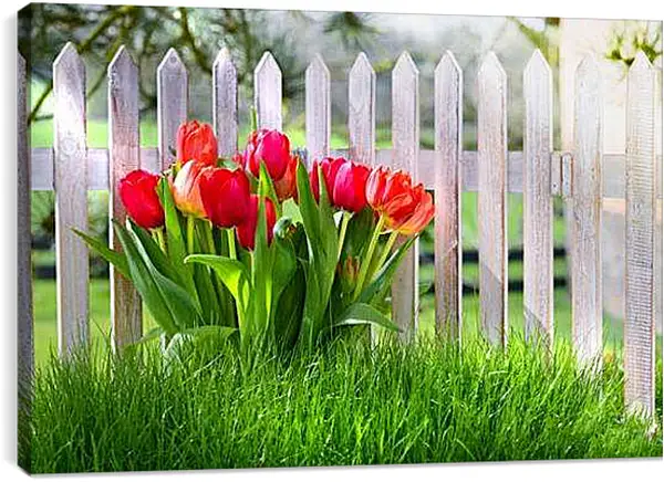 Постер на подрамнике - Тюльпаны