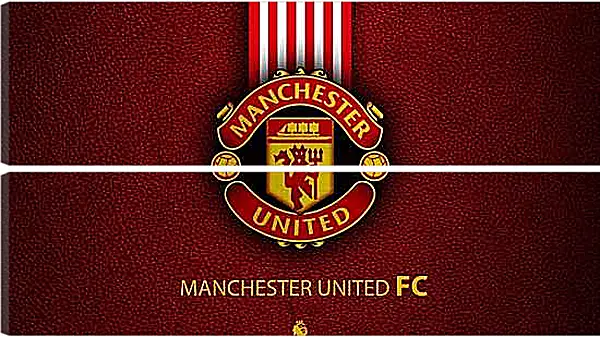 Модульная картина - Эмблема ФК Манчестер Юнайтед