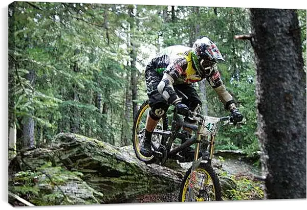 Постер на подрамнике - Спорт