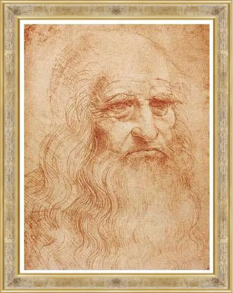 Картина в раме - Автопортрет. Леонардо да Винчи