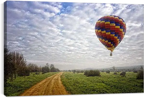 Постер на подрамнике - Воздушный шар над полем