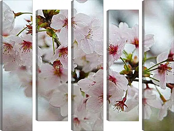 Модульная картина - Весенний цвет