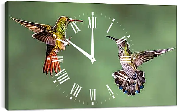 Часы картина - Колибри