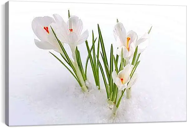 Постер на подрамнике - Весна