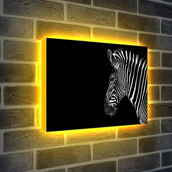Лайтбокс световая панель - Зебра