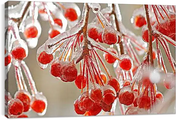 Постер на подрамнике - Зима