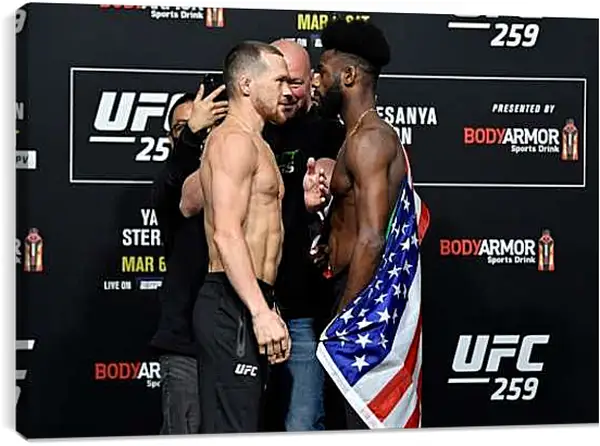 Постер на подрамнике - UFC. MMA. Пётр Ян