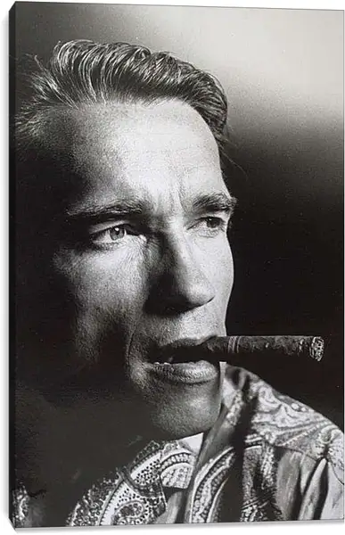 Постер на подрамнике - Арнольд Шварценеггер (Arnold Schwarzenegger)