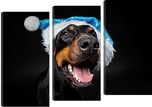 Модульная картина - Собака в новогодней шапке