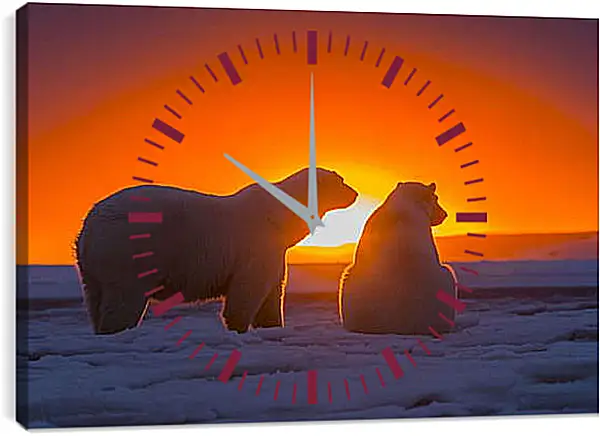 Часы картина - Белые медведи