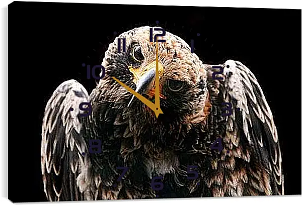 Часы картина - Орел