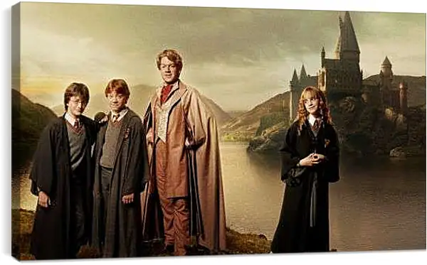 Постер на подрамнике - Harry Potter