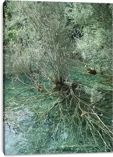 Постер на подрамнике - Плитвицкие озера