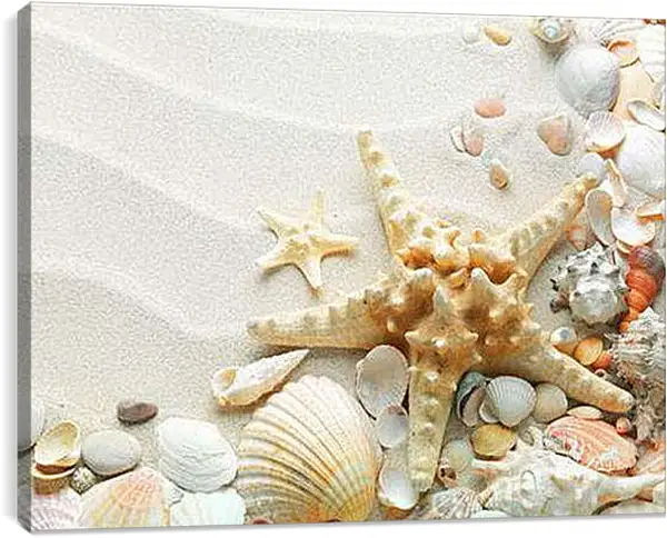 Постер на подрамнике - Морская звезда на пляже
