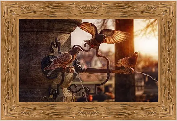 Картина в раме - Голуби