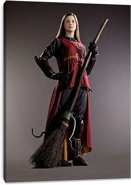 Постер на подрамнике - Летающие мётлы