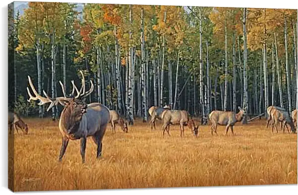 Постер на подрамнике - Вожак