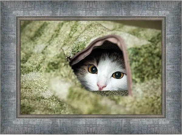 Картина в раме - Портрет кошки на зеленом фоне