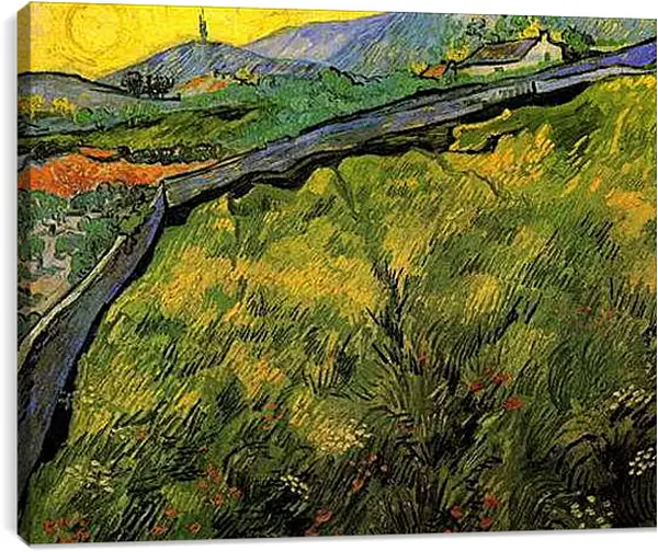 Постер на подрамнике - Field of Spring Wheat at Sunrise. Винсент Ван Гог
