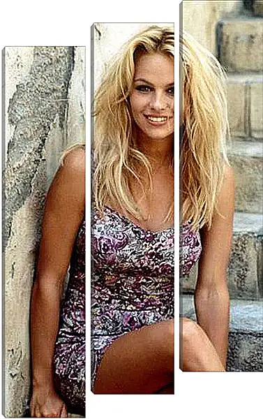 Модульная картина - Pamela Anderson - Памела Андерсон
