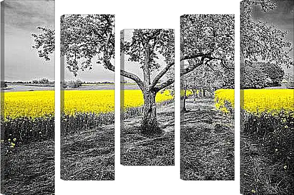 Модульная картина - Поле жёлтых цветов