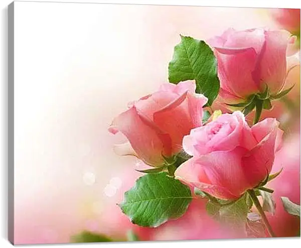 Постер на подрамнике - Розы на ветке