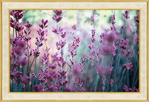 Картина в раме - Лаванда
