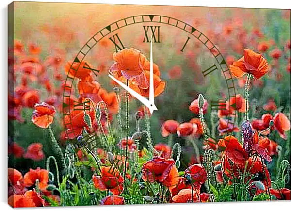 Часы картина - Поле маков