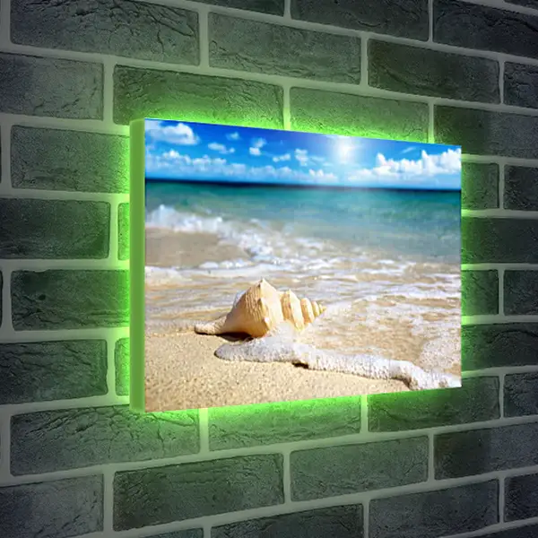 Лайтбокс световая панель - Ракушка на пляже