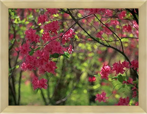 Картина в раме - Весна