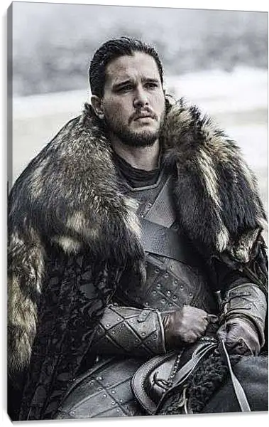 Постер на подрамнике - Сноу