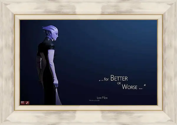 Картина в раме - Mass Effect 2