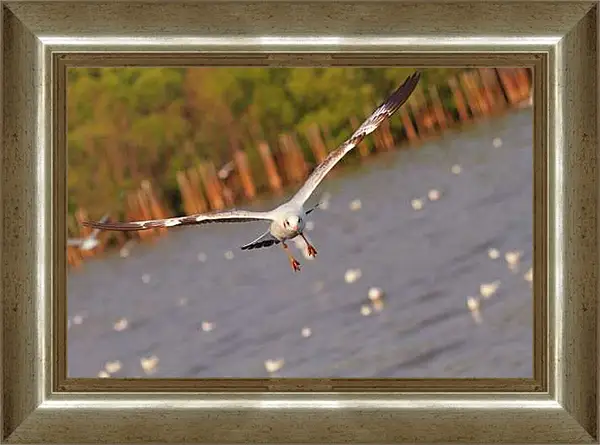 Картина в раме - Чайки