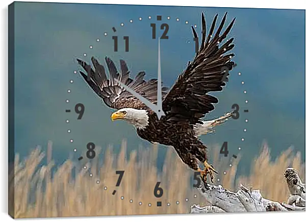 Часы картина - Орёл на взлёте